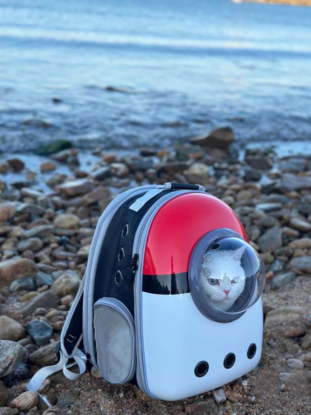 Large Cat Backpack Carrier, Front Extension with Space Capsule Bubble