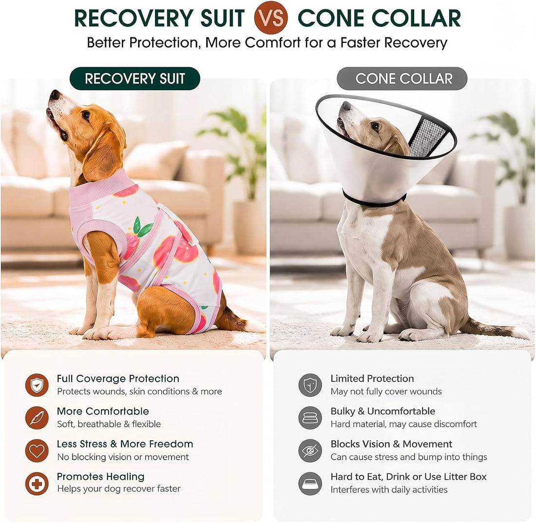 Kuoser Recovery Suit for Dogs Cats