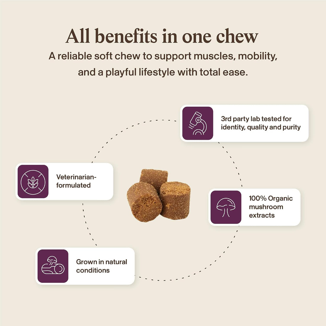 Real Mushrooms Pet Chews for Dogs & Cats