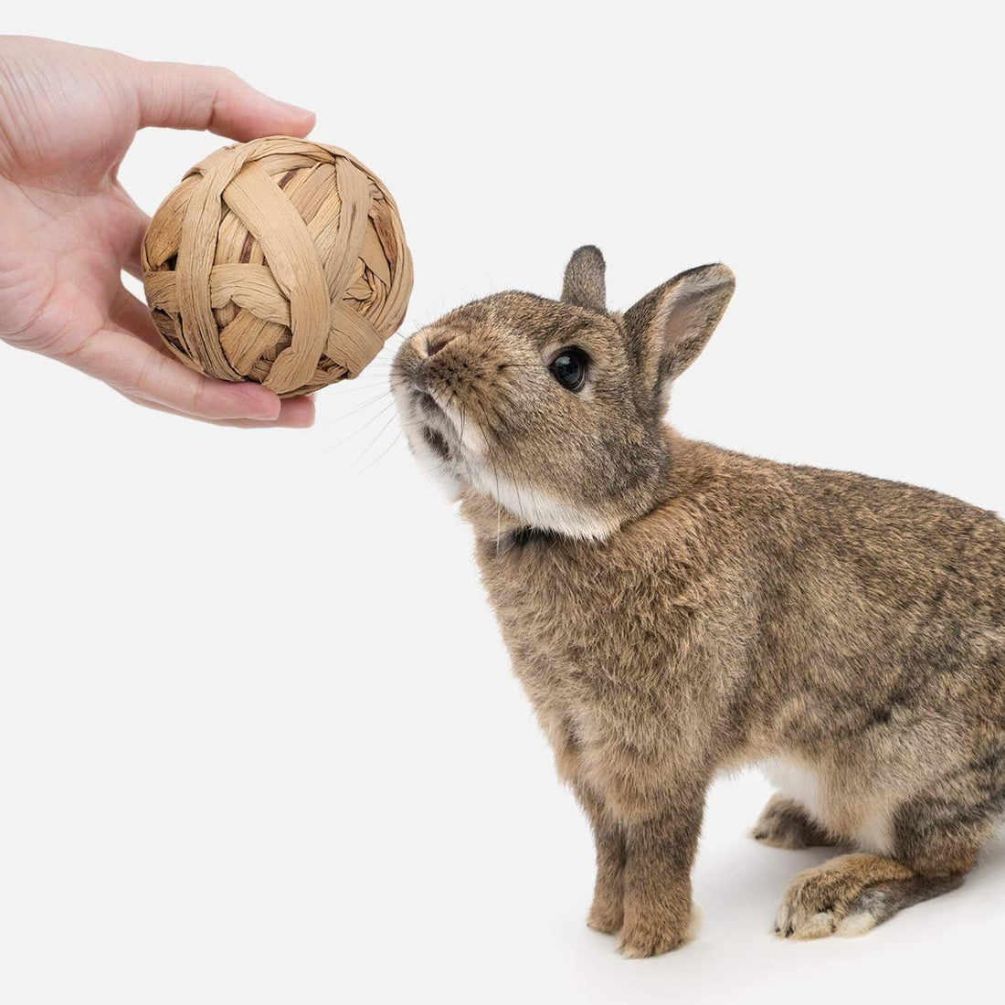Niteangel Natural Chew Activity Toys