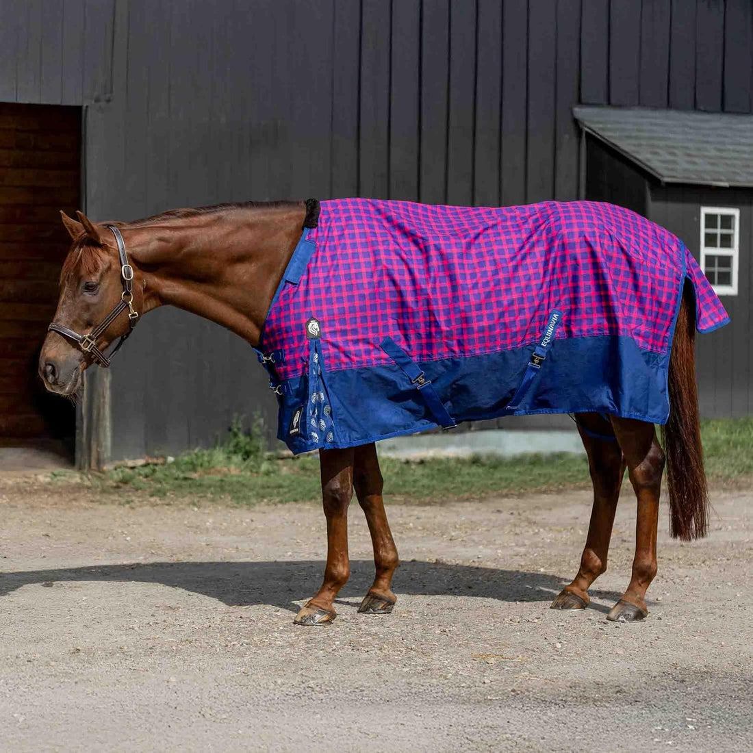 Equinavia Norse Waterproof Turnout Blanket