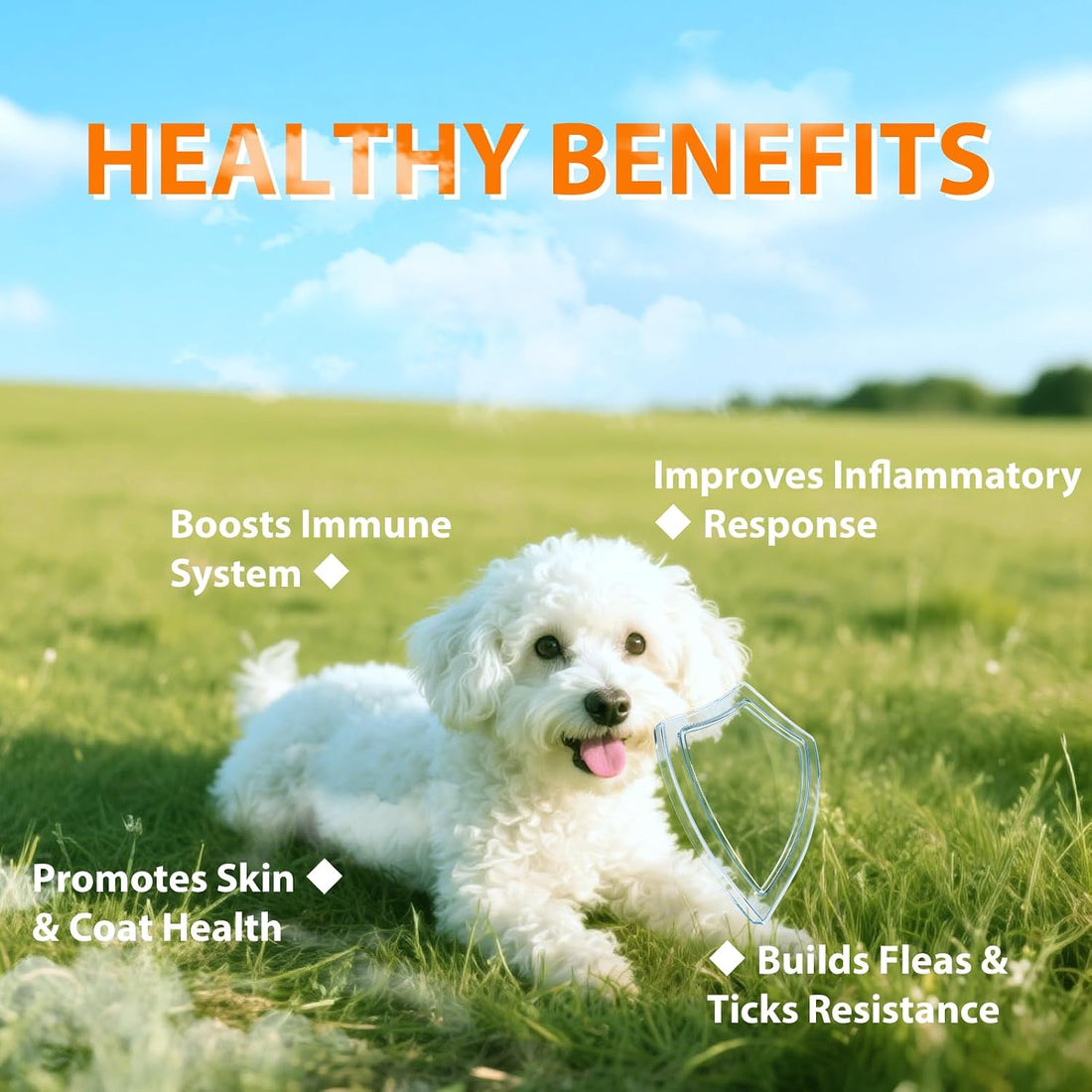 Flea and Tick Prevention for Dogs Chewables