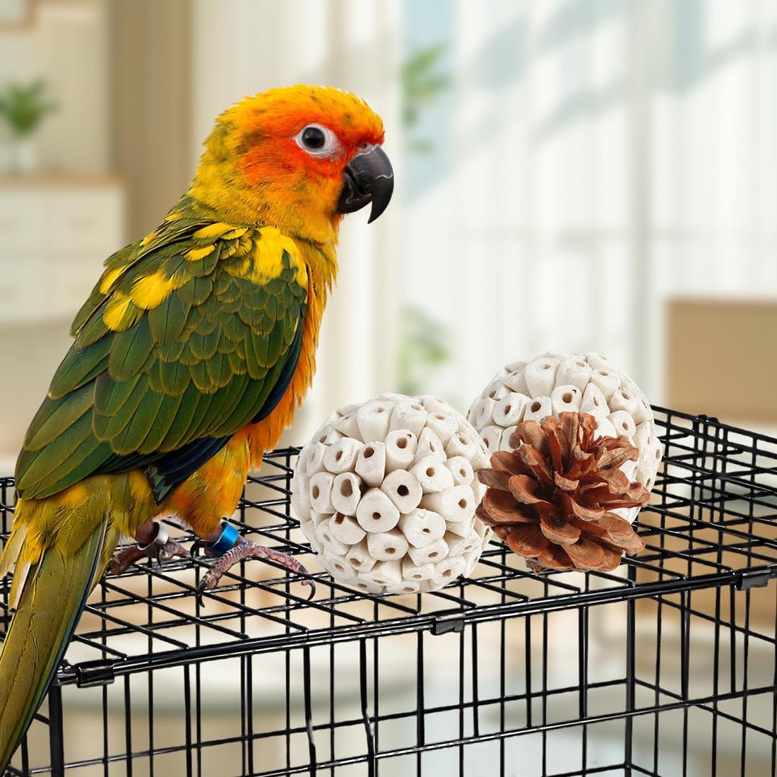 Kyouki Bird Toys Parrot Toys Natural Bird Foraging Box Foot