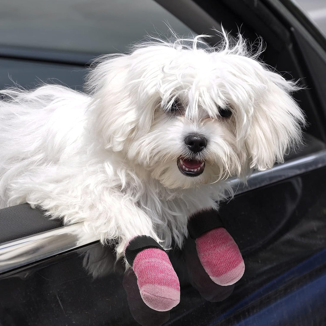 Frienda 8 Pcs Anti-Slip Dog Socks for Small Dogs and Cats