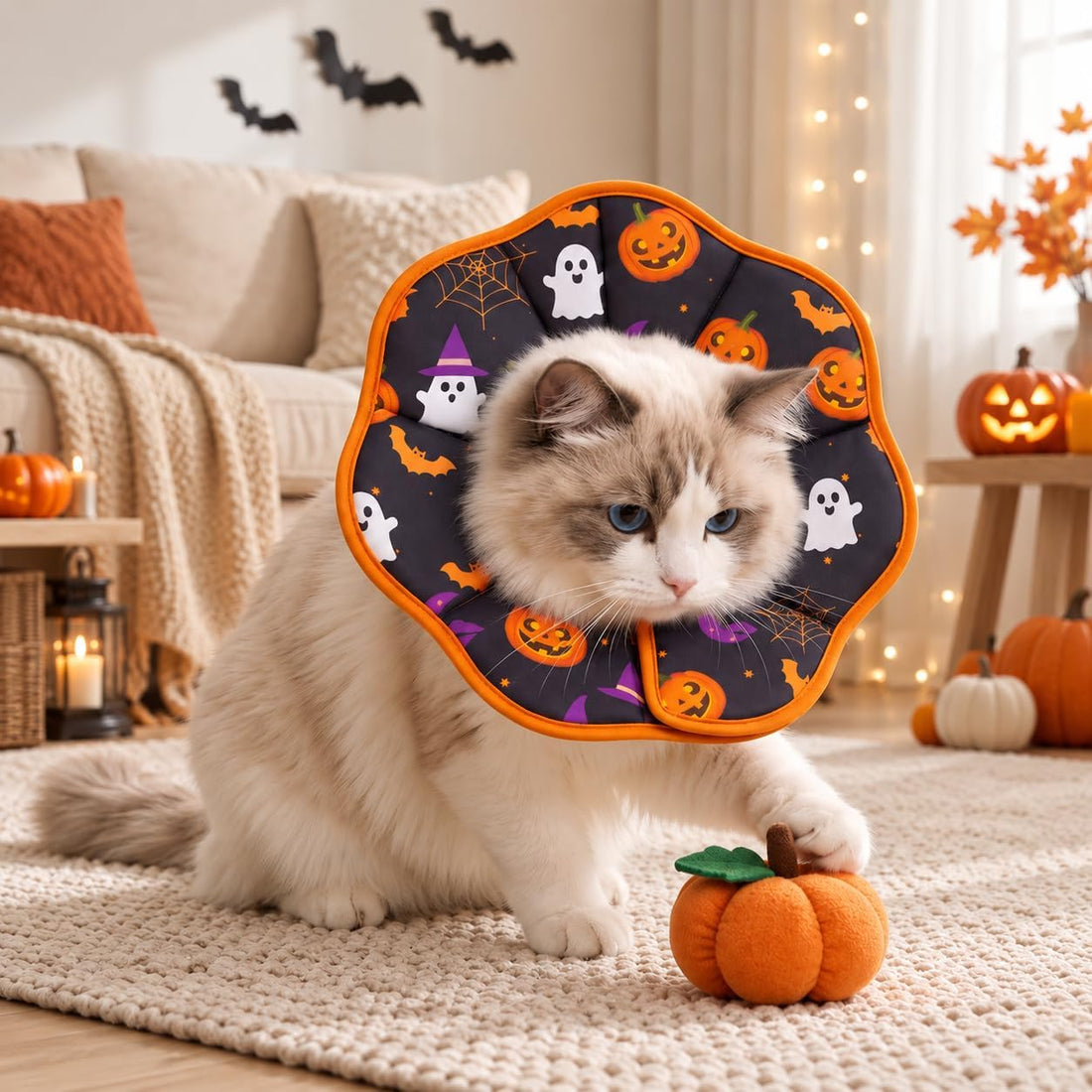 Avont Cat Cone M Adjustable Soft E-Collar