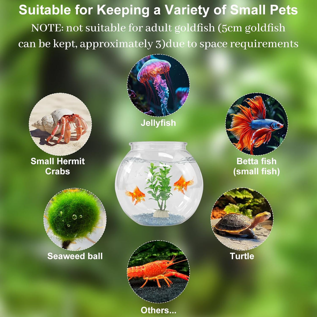 Plastic Goldfish Fish Bowl Drum Clear Aquarium Starter Kits