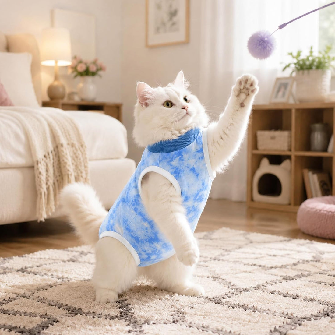Cat Surgery Recovery Suit, Kitten Surgical Onesie After Spay