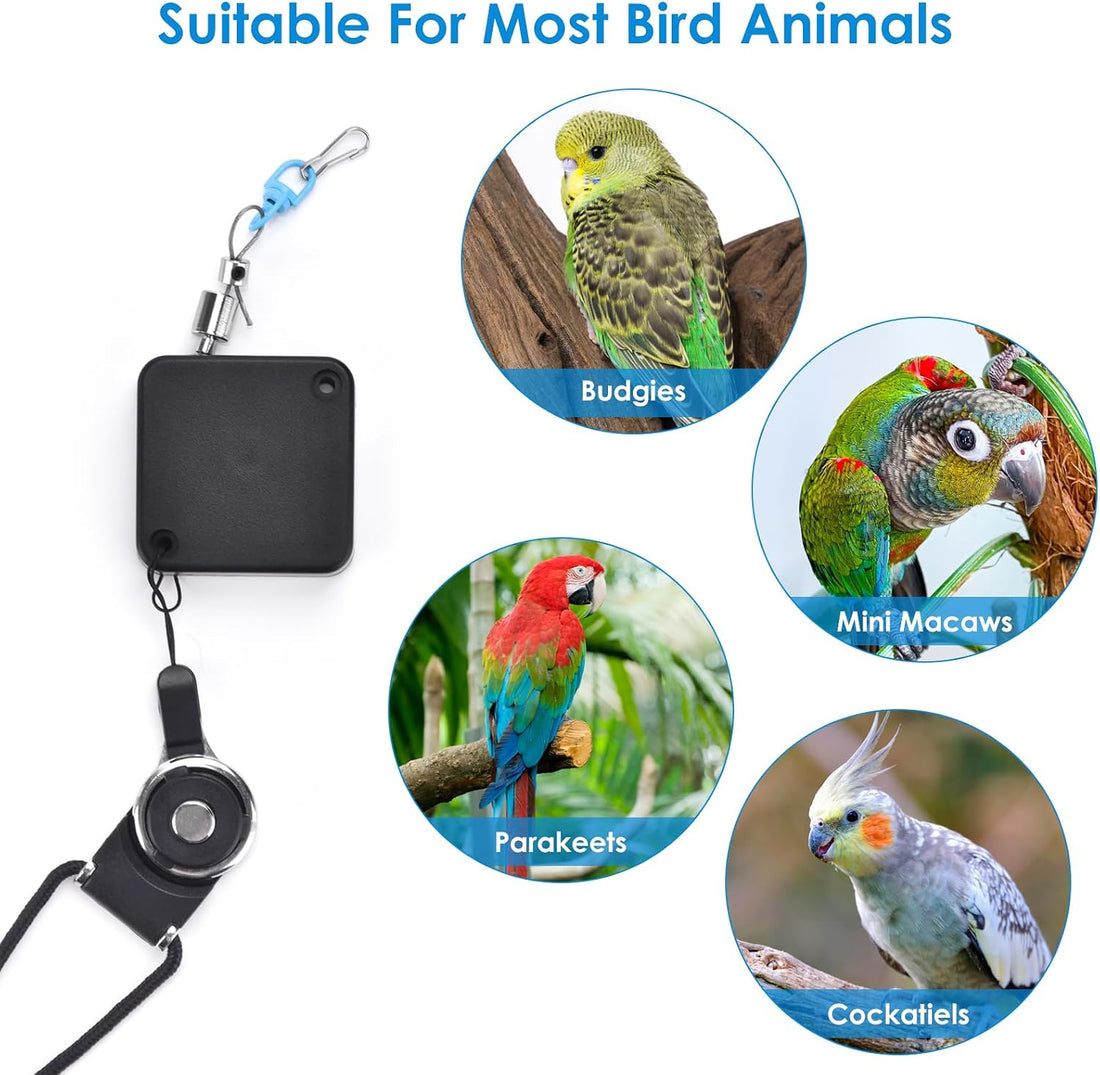 Bird Leash，6.6 Ft, with 13 Different Size Foot Ring （ Gold Color）