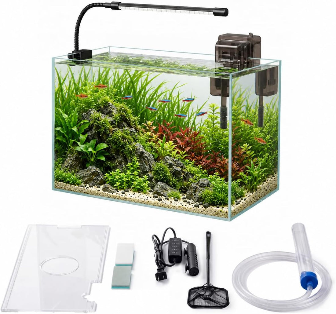 2.5 Gallon Nano Glass Fish Tank, Ultra-Clear Rimless Desktop Aquarium