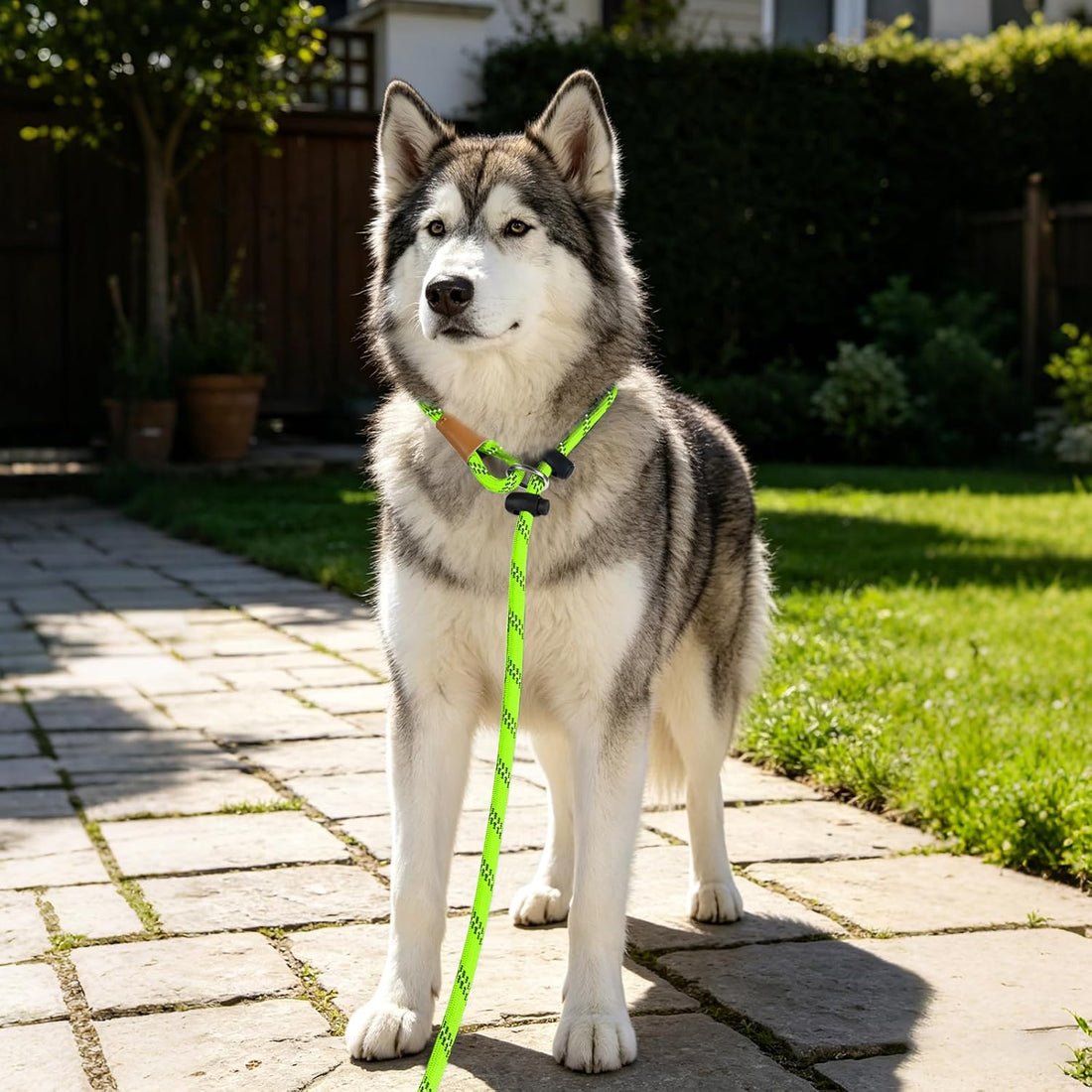 Slip Lead Dog Leash Reflective Training Durable Braided Rope Leashes