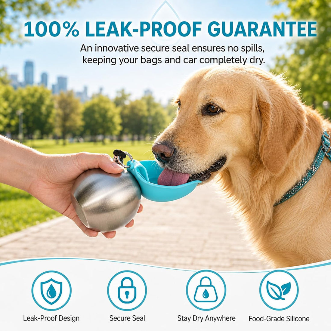 2 in 1 Portable Dog Water Bottle for Dogs,10oz Stainless Steel
