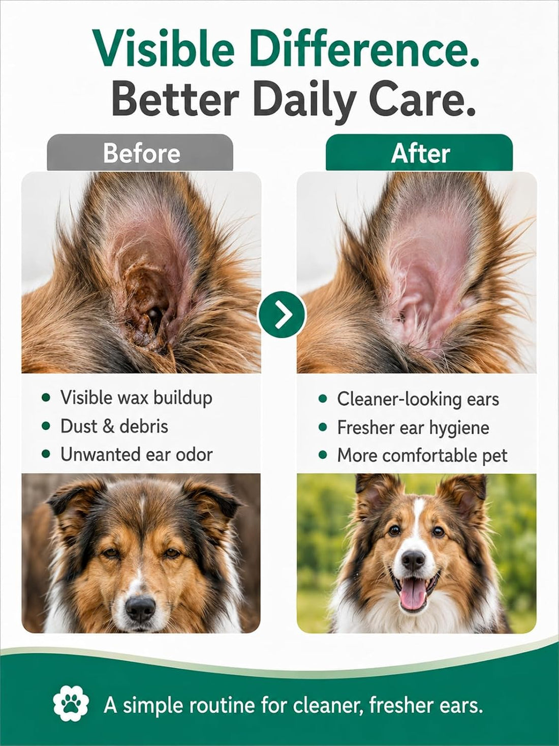 Gentle Ear Cleaning Solution for Dogs & Cats | Itchy Ear Relief
