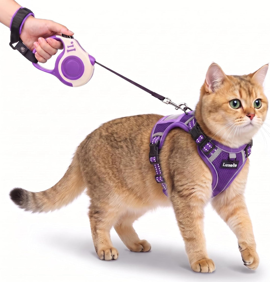 Luxelle Escape Proof Cat Harness with Retractable Leash & Wrist Strap
