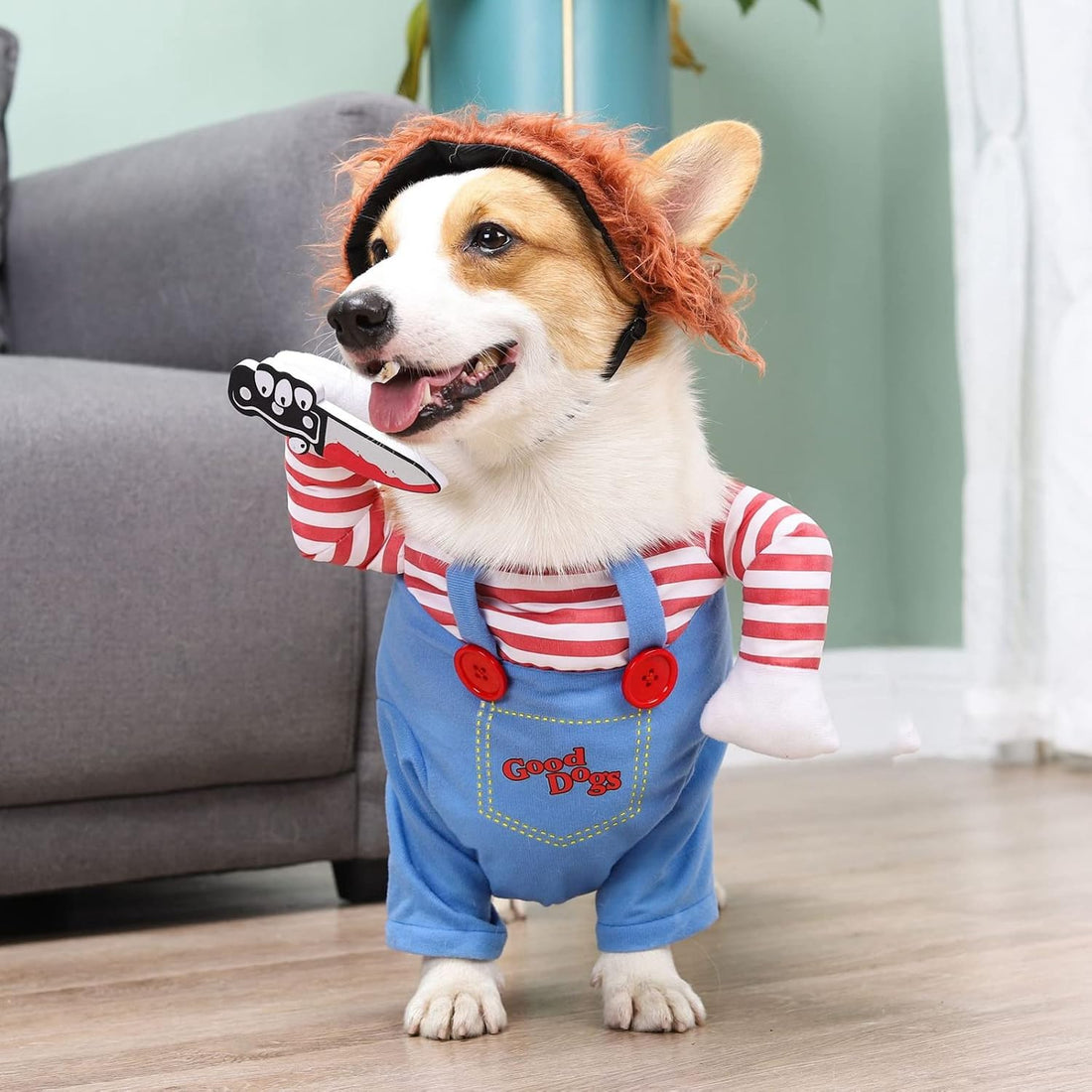 Pet Deadly Doll Dog Costume, Cosplay Halloween Christmas Funny