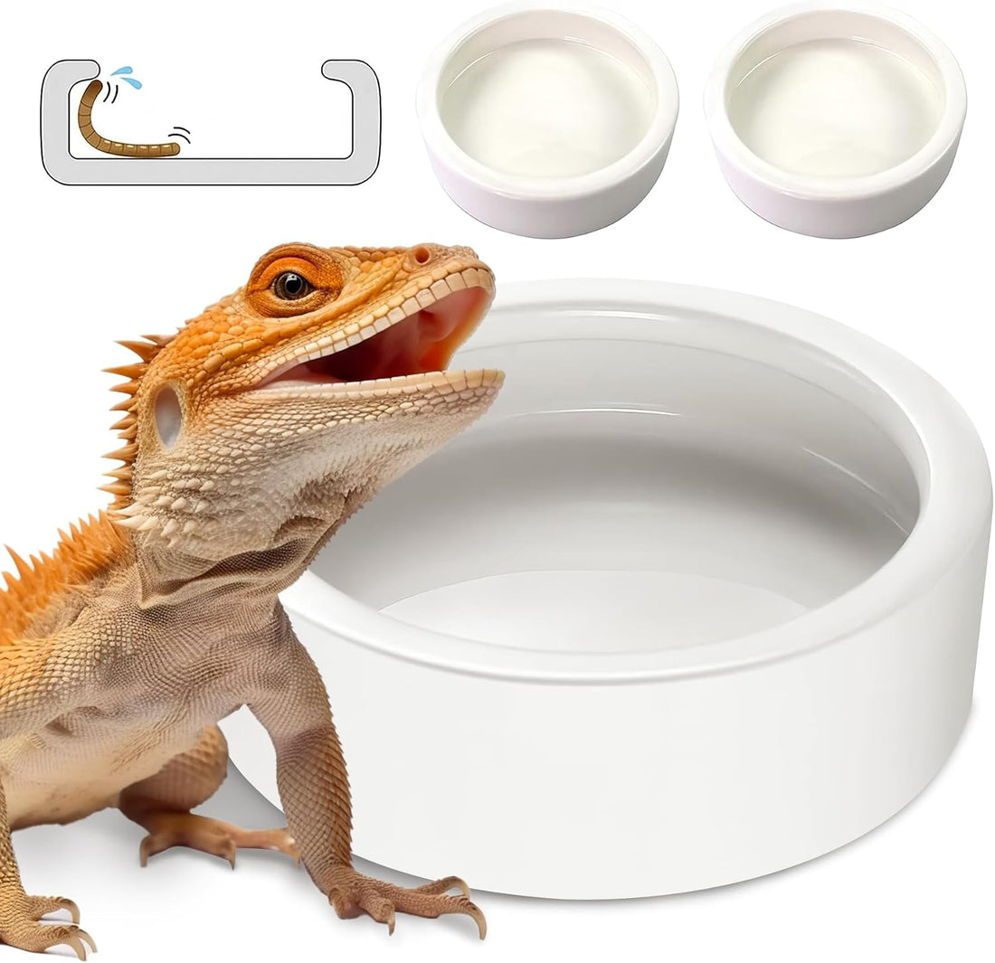 Reptile Food Dish Bowl 2Pcs Lizard Gecko Worm Water Bowls Small
