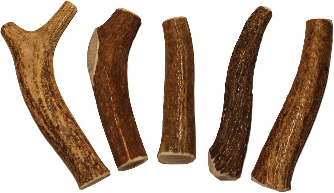 Elkhorn Premium Chews – X Large Whole Single Elk Antler Chew