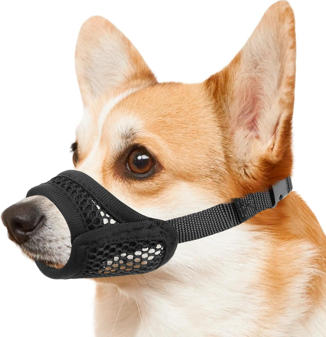 Mayerzon Mesh Muzzle for Short Snout and Small Medium Dogs Anti-Biting