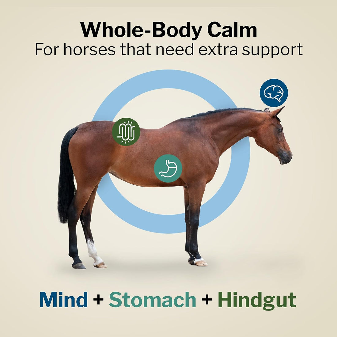 Formula 707 Support Pro Horse Supplement, 28 Daily Packs - Calming Aid