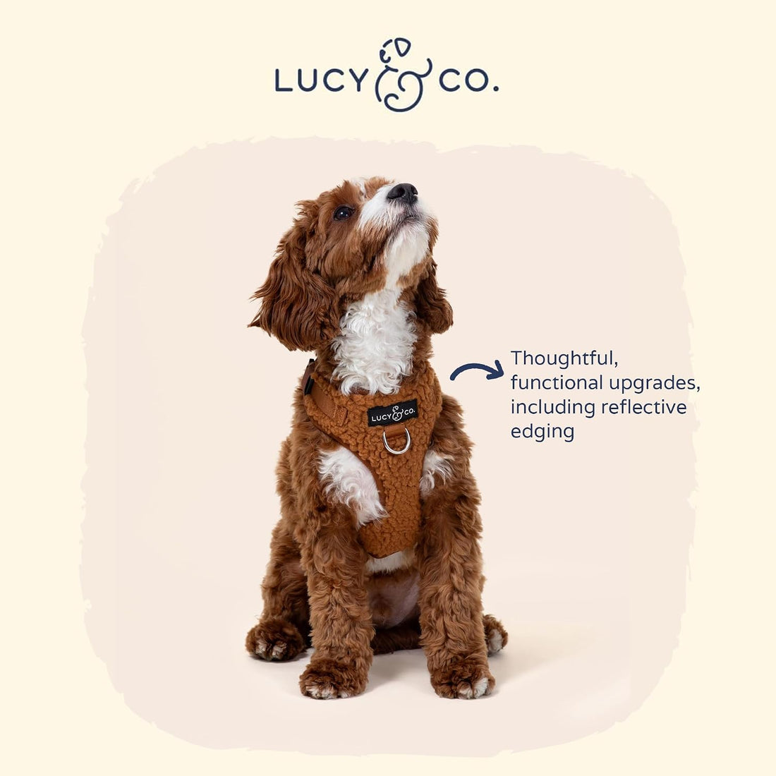 Lucy & Co. Cute No-Pull Cinnamon Teddy Harness