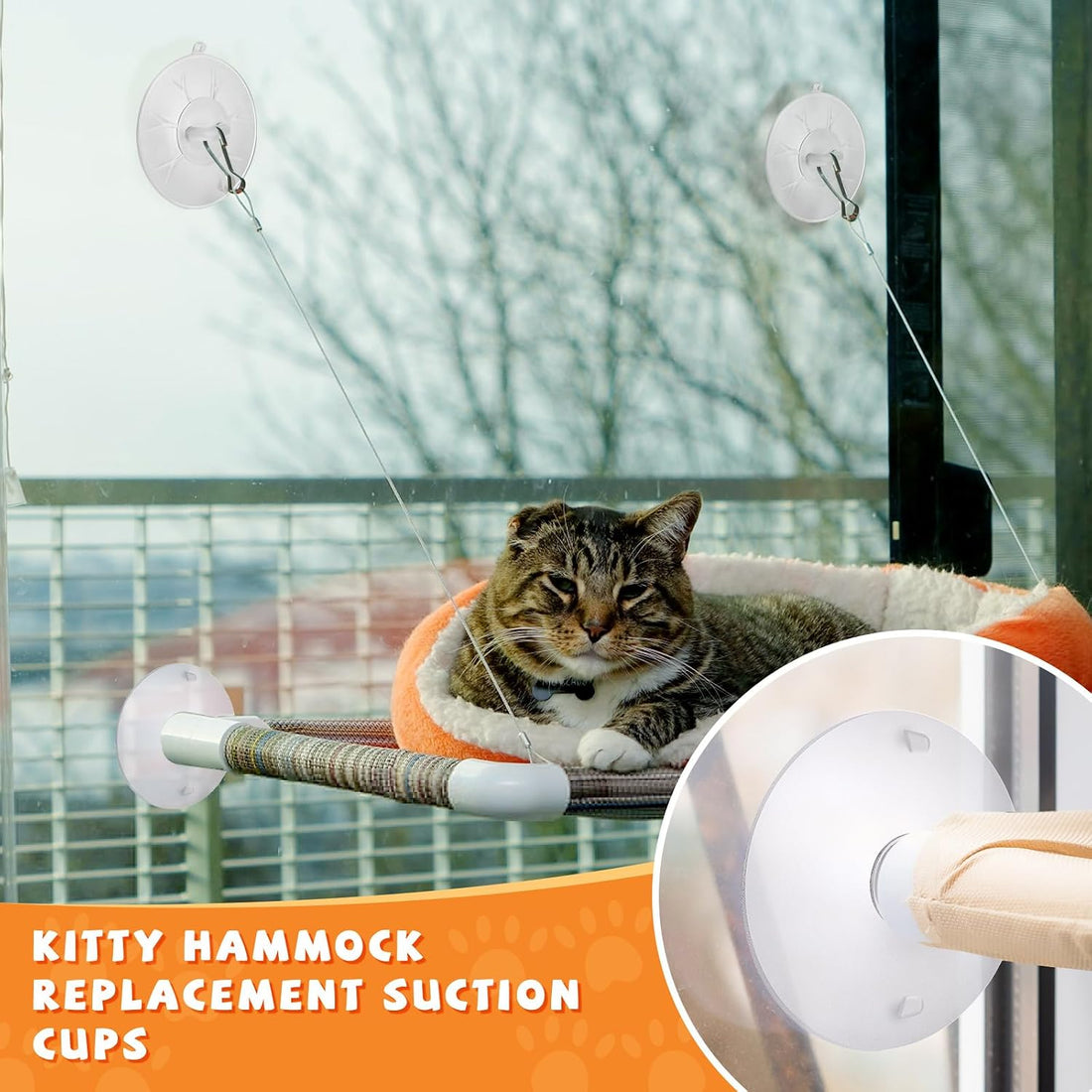 4 Pieces Cat Window Perch Suction Cup