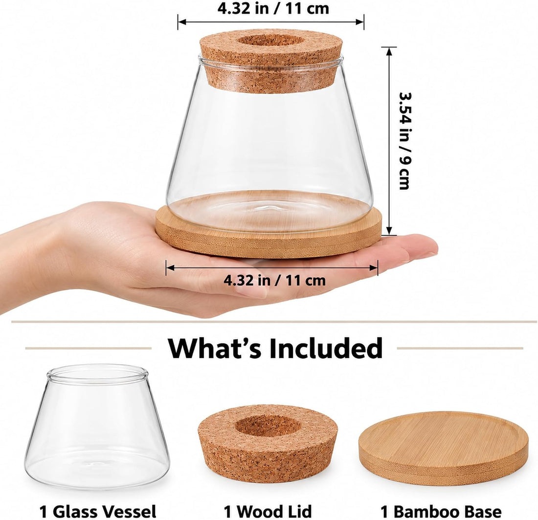 Glass Betta Fish Bowl, Desktop Plant Hydroponic Terrarium Kit 4''