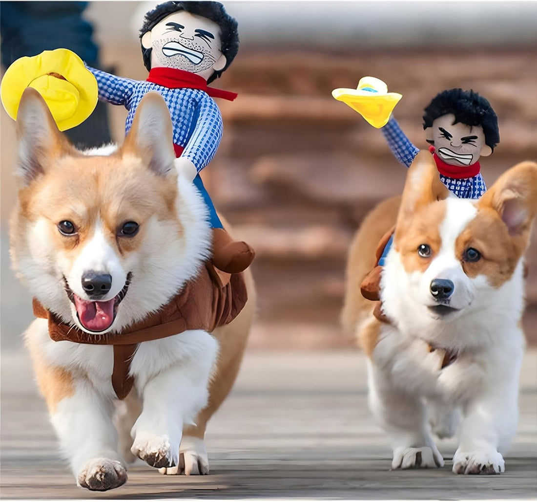 NACOCO Cowboy Rider Dog Costume for Dogs Clothes Knight Style
