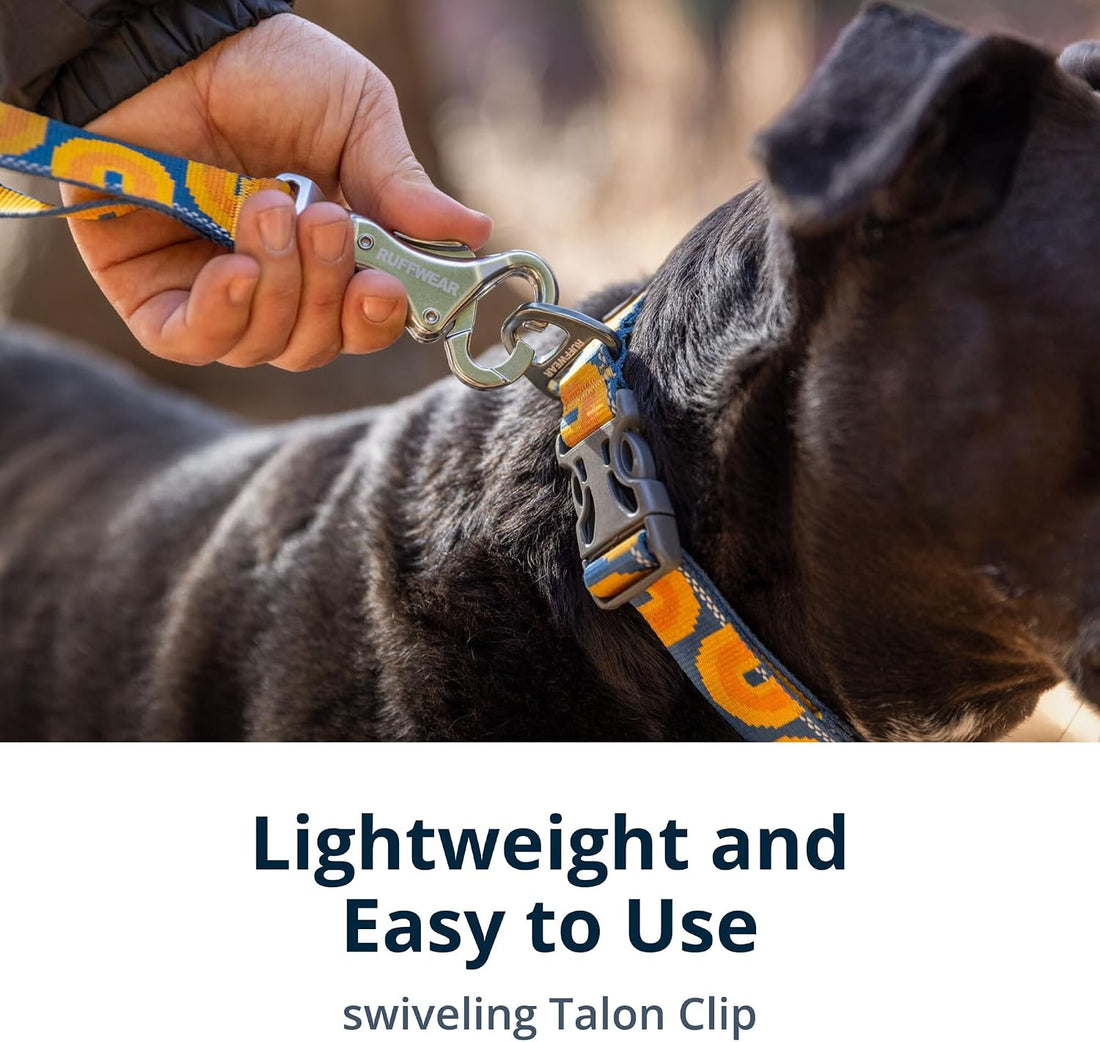 Ruffwear, Crag Dog Leash, Reflective Everyday 6 ft Lead