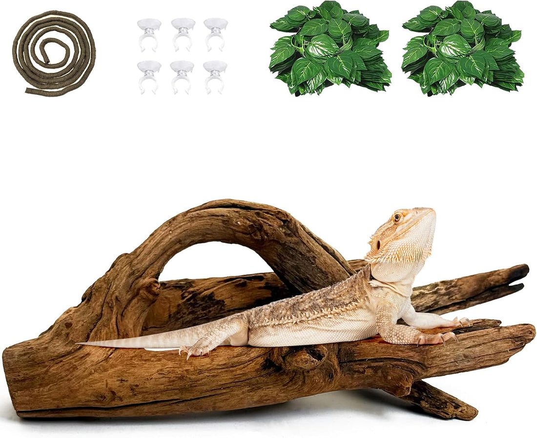 Hamiledyi Bearded Dragon Driftwood for Reptile
