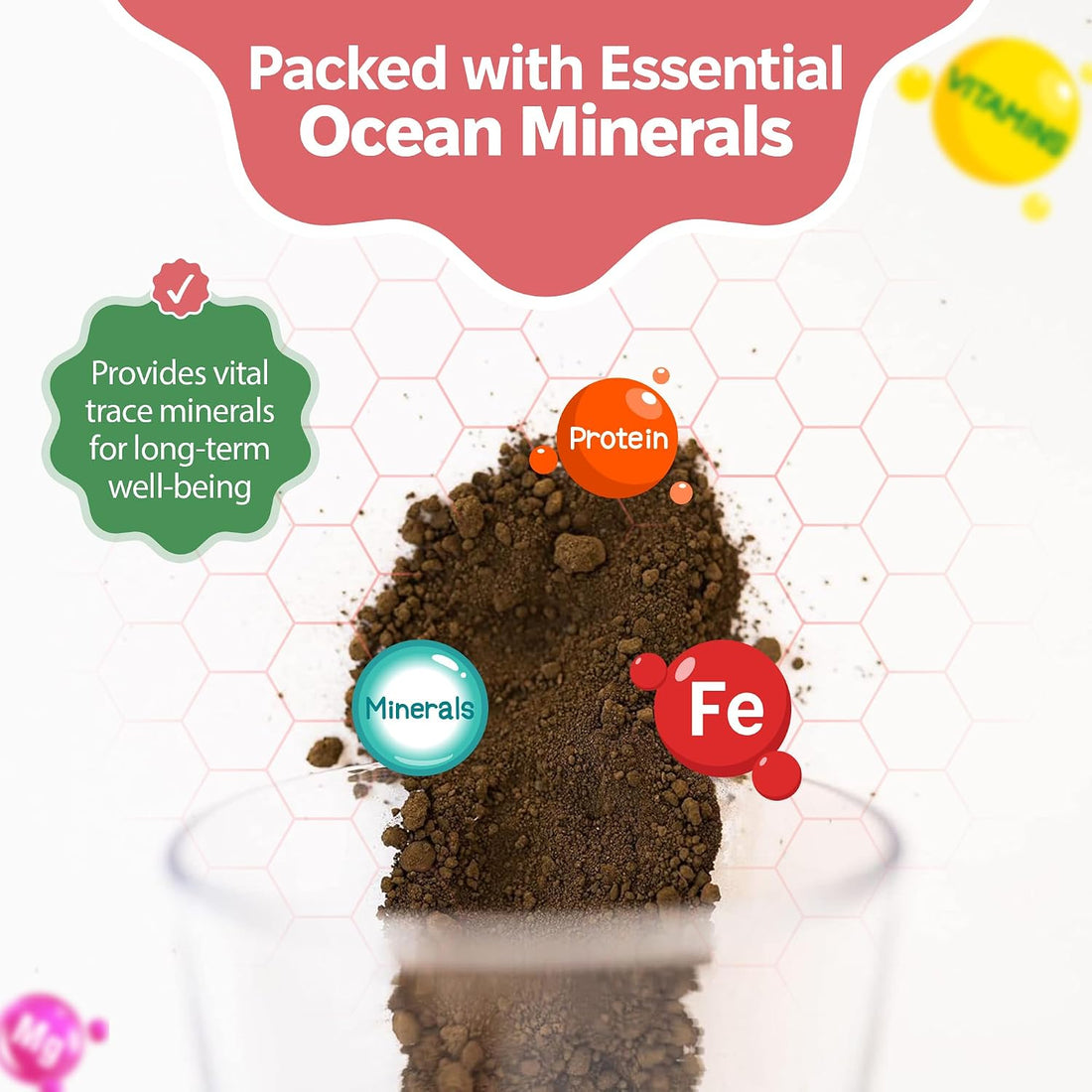 Hermit Crab Greensand – Calcium and Trace Mineral Molting Support