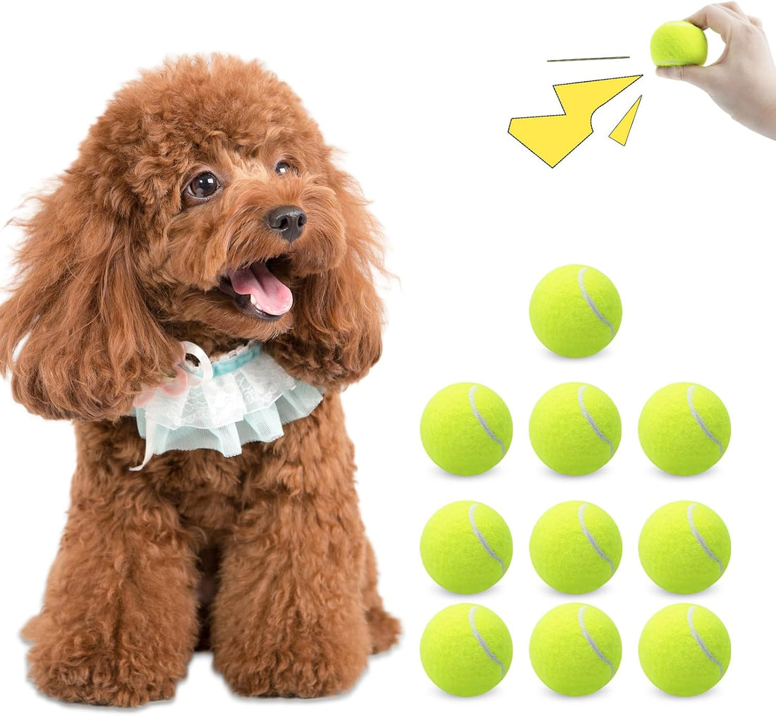 Magicorange 10 Pack Squeaky Mini Tennis Balls, 1.5 inch Small Dog Ball