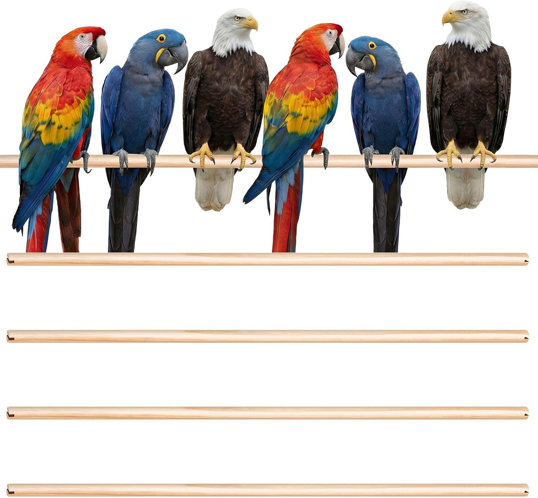 Sintuff Bird Perches Natural Wood Double Slots, 24 Inches, 4 Pcs
