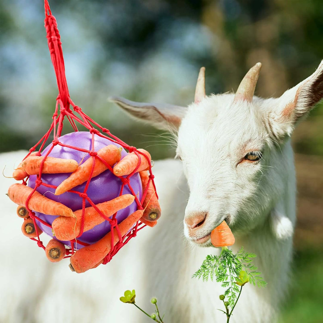 Tirifer Carrot Feeder Ball Toy for Horse, Goat, Sheep - Stress Relief