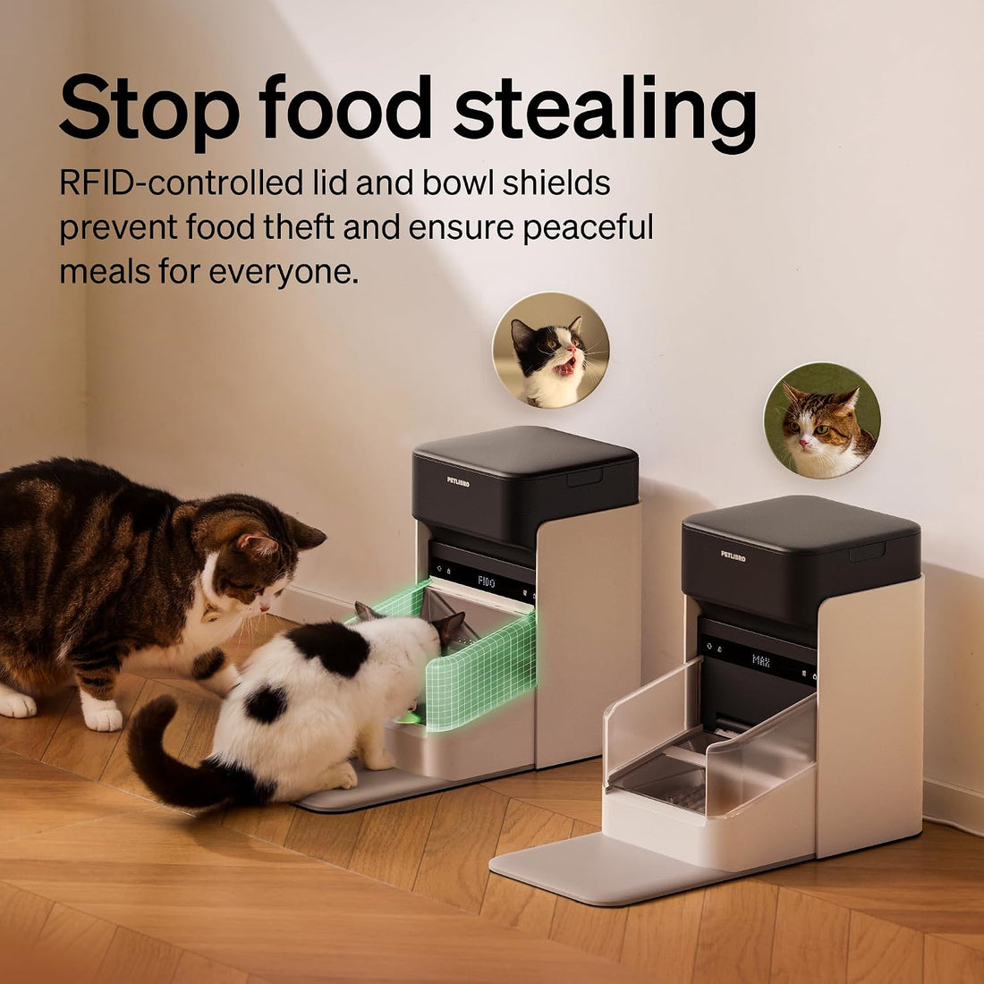 PETLIBRO RFID Automatic Cat Feeder