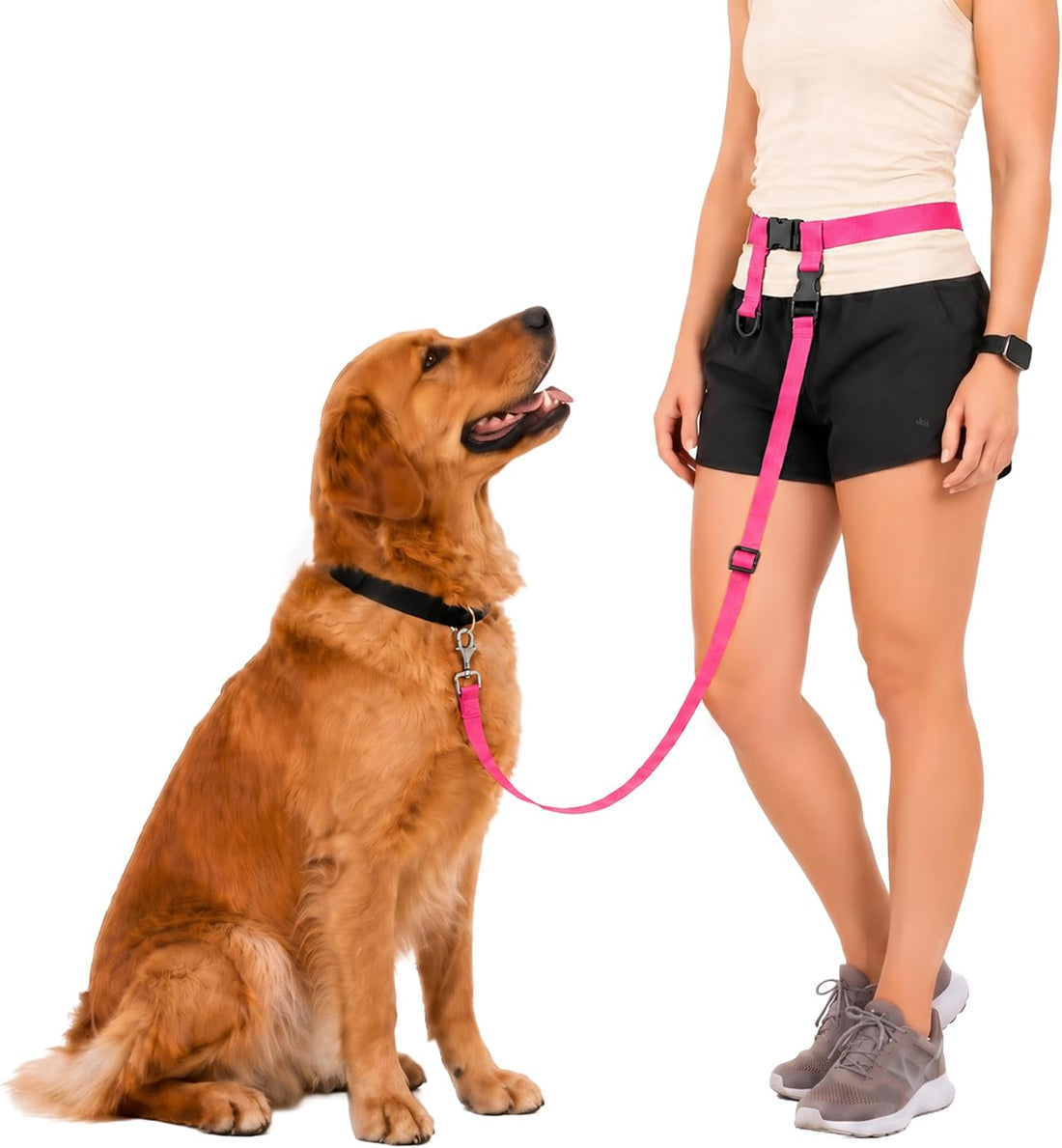 The Buddy System - Hands Free Dog Leash - Small Dog, Large Belt