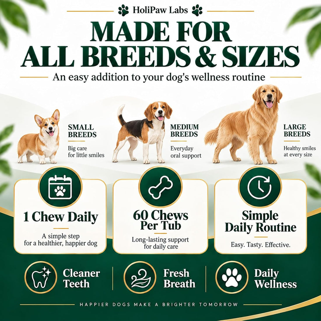 Holipaw Dental Chew,60 Chews