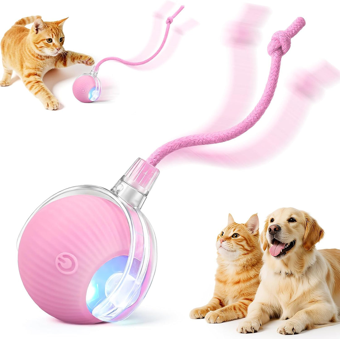 Interactive Automatic Rolling Electronic Stimulation Chase Ball Cat