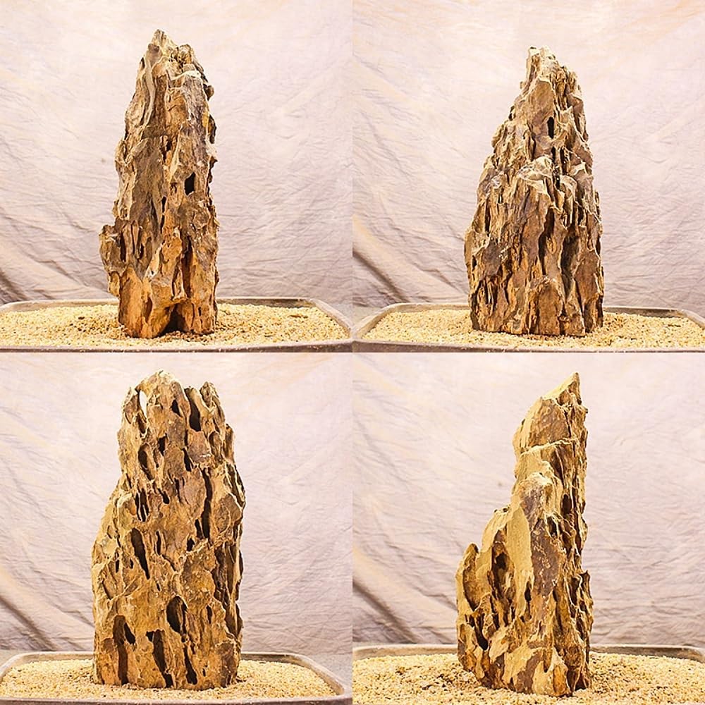 AWXZOM Natural Dragon Rock Carefully Selected Mixed Sizes