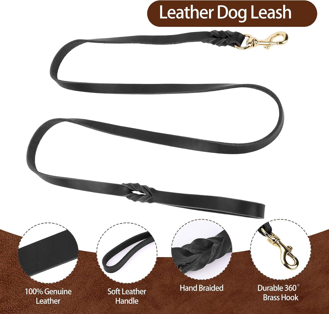 Leather Dog Collar and Leash Set