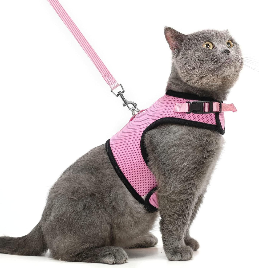 PUPTECK Soft Mesh Cat Vest Harness and Leash Set Puppy Padded Pet