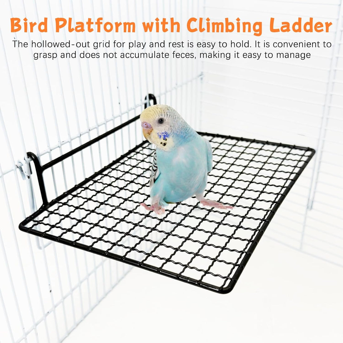 BNOSDM Stainless Steel Grid Platform for Parakeet 4 PCS Bird Perches
