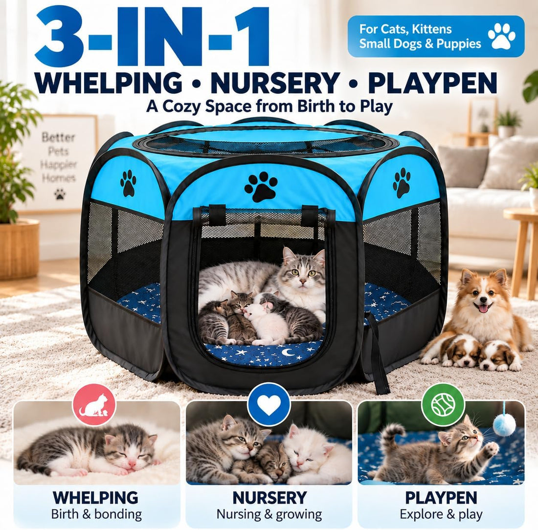 Whelping Box for Cats, Pop-up Playpen for Kittens and Mom