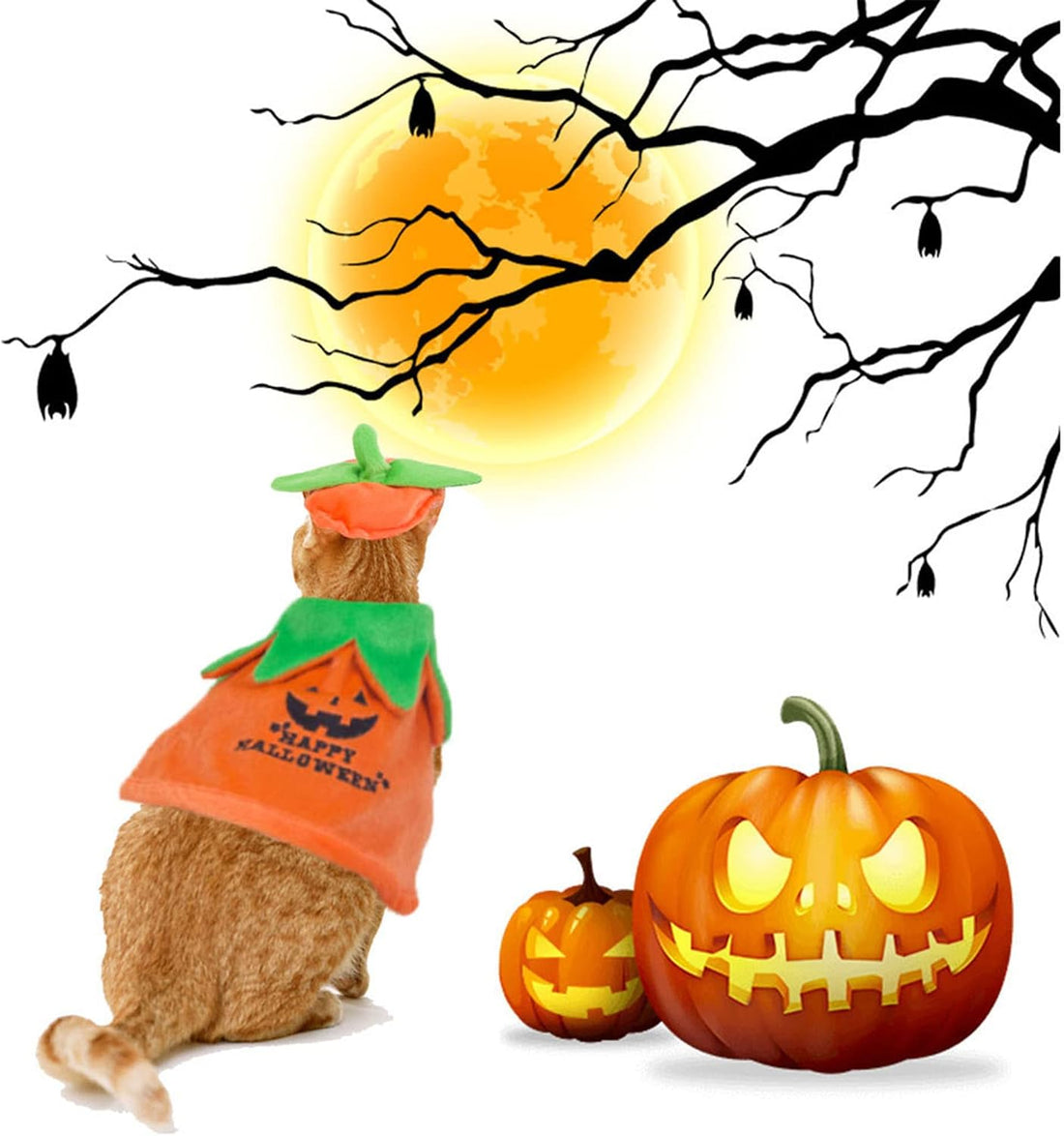 ADOGGYGO Cat Halloween Pumpkin Costume, Halloween Cat Cloak Hat Set
