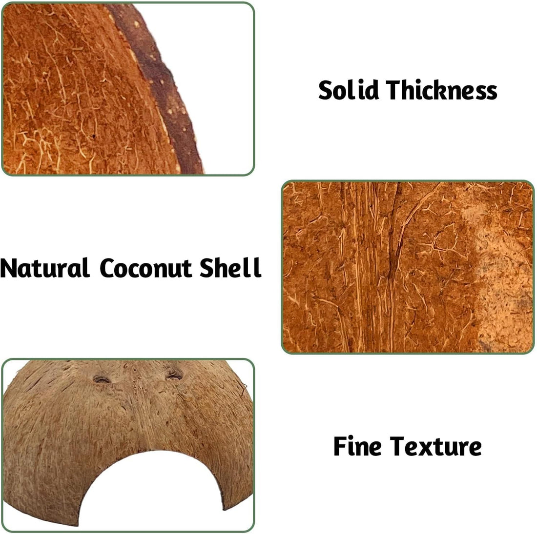 PINVNBY 2 PCS Natural Coconut Reptile Hideouts Lizard Coco Hut Hermit