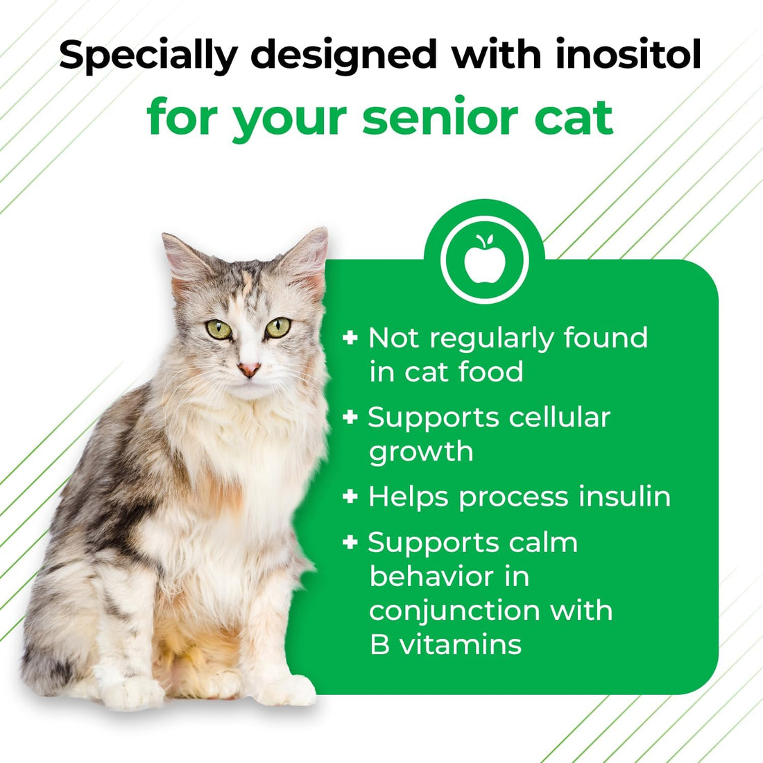 VetriScience Senior 27+ Active Health Chews for Senior Cats, Fish