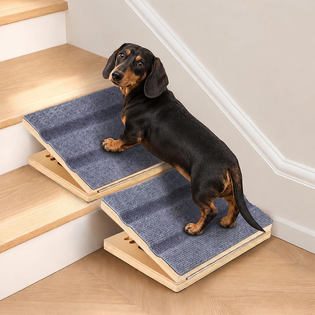 Adjustable Dog Ramp for Stairs, Non-Slip Pet Steps for Small Dogs