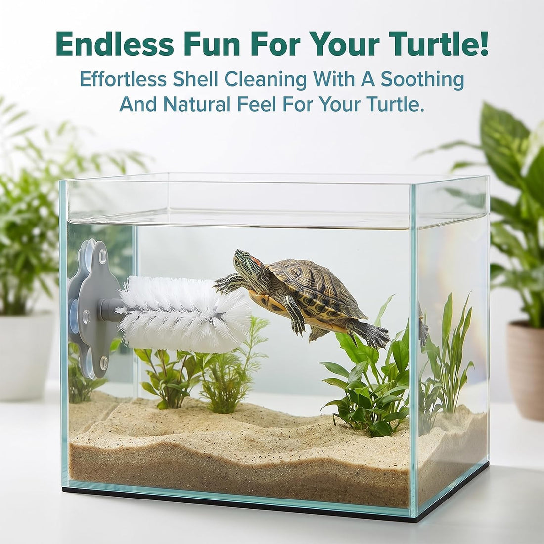 Turtle Brush for Shell Cleaning, Turtle Brush with Suction Cup