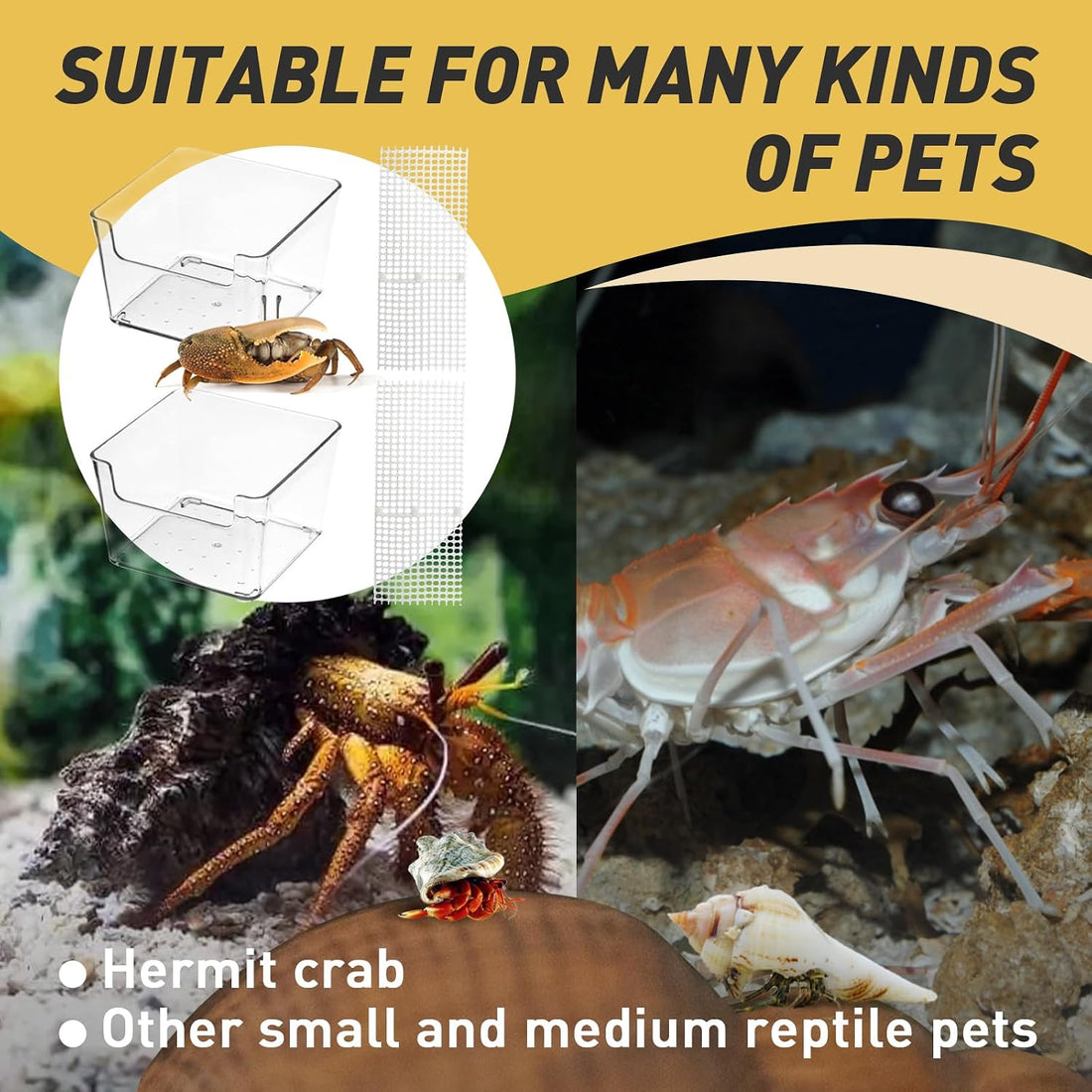 2 Packs Hermit Crab Pool - Ideal Hermit Crab Tank Combination