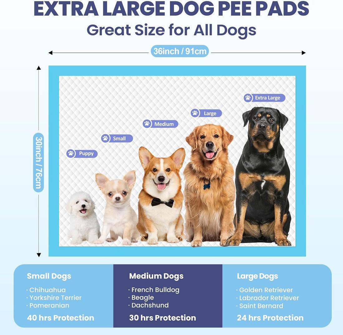 SCLOSE Pee Pads for Dogs Extra Large 30"x36", 50 Count Puppy Pads XXL