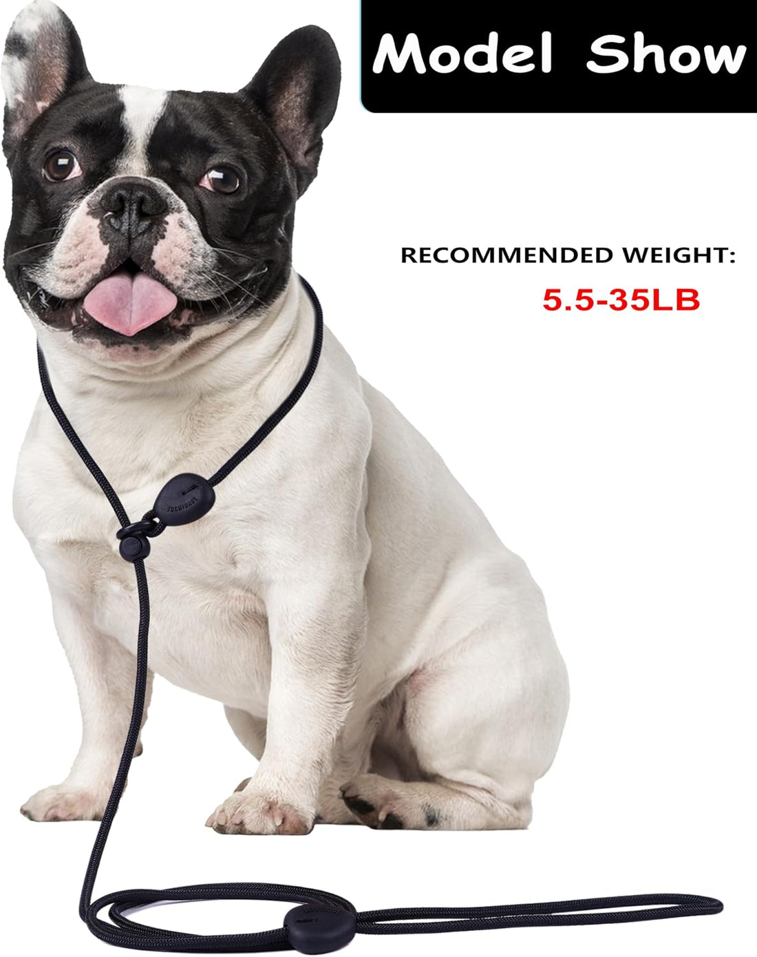 6FT Heavy Duty Slip Lead - No Pull Dog Training Leash