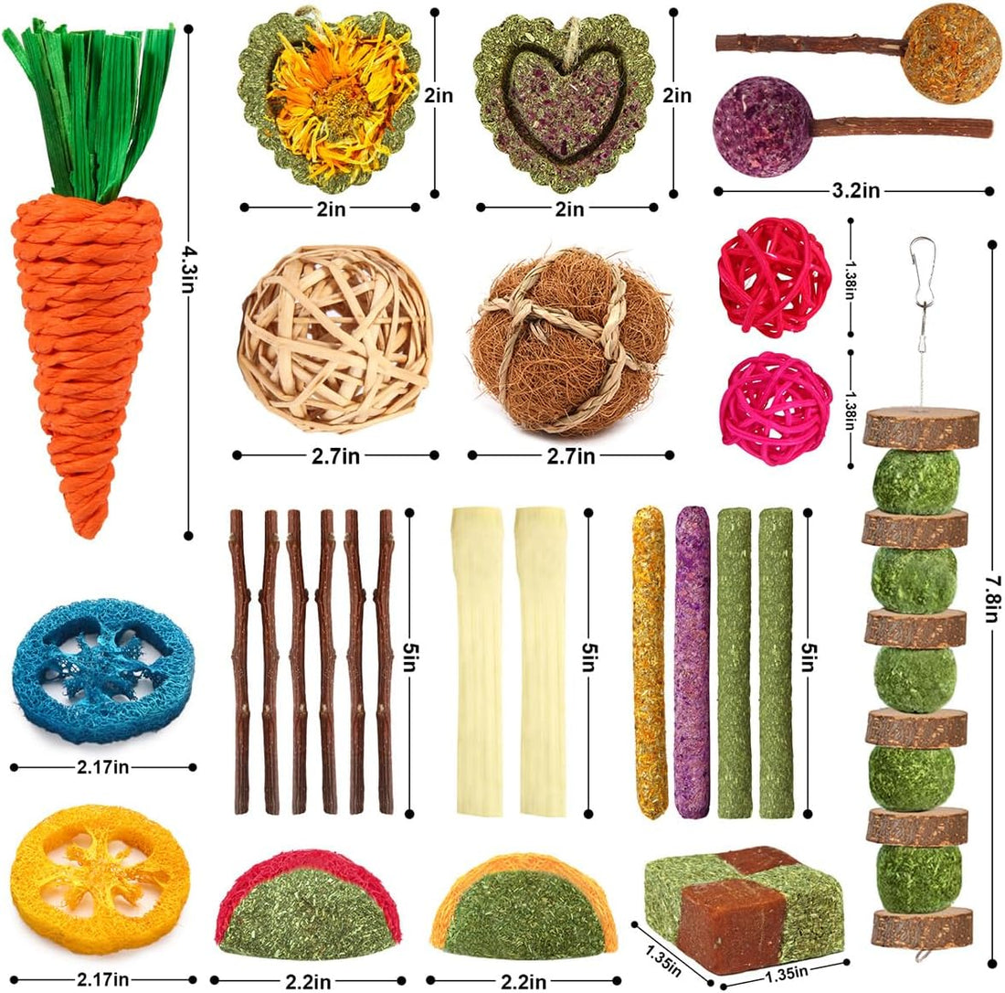 YIXUND Rabbit & Guinea Pig Toys